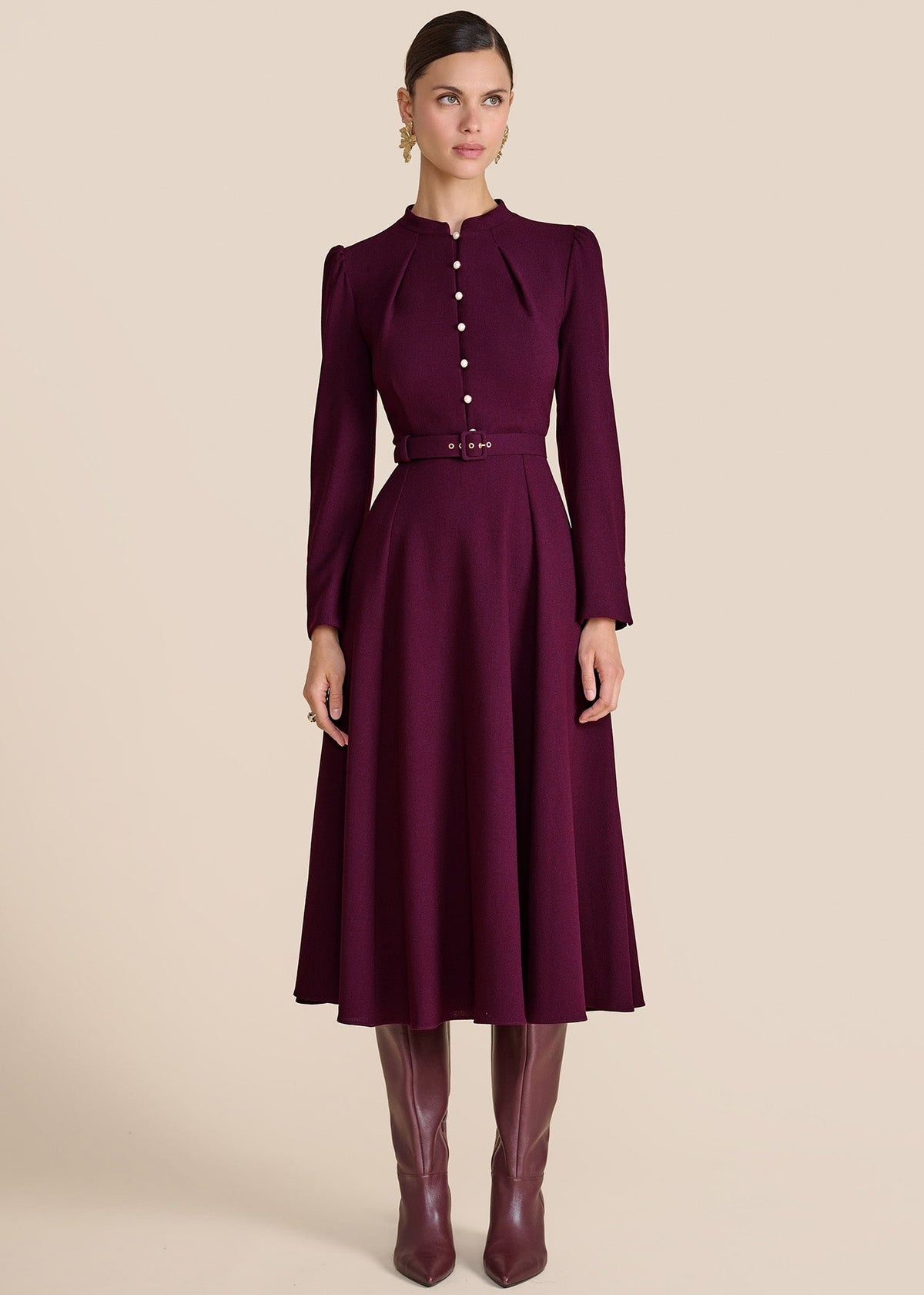 Ahana Plum Long Sleeve Dress