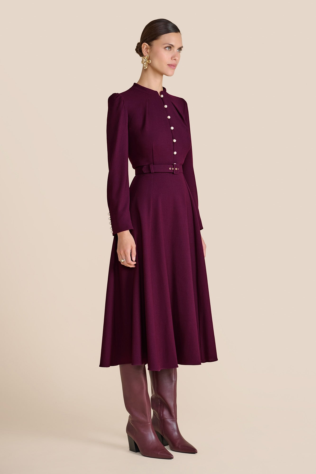 Ahana Plum Long Sleeve Dress