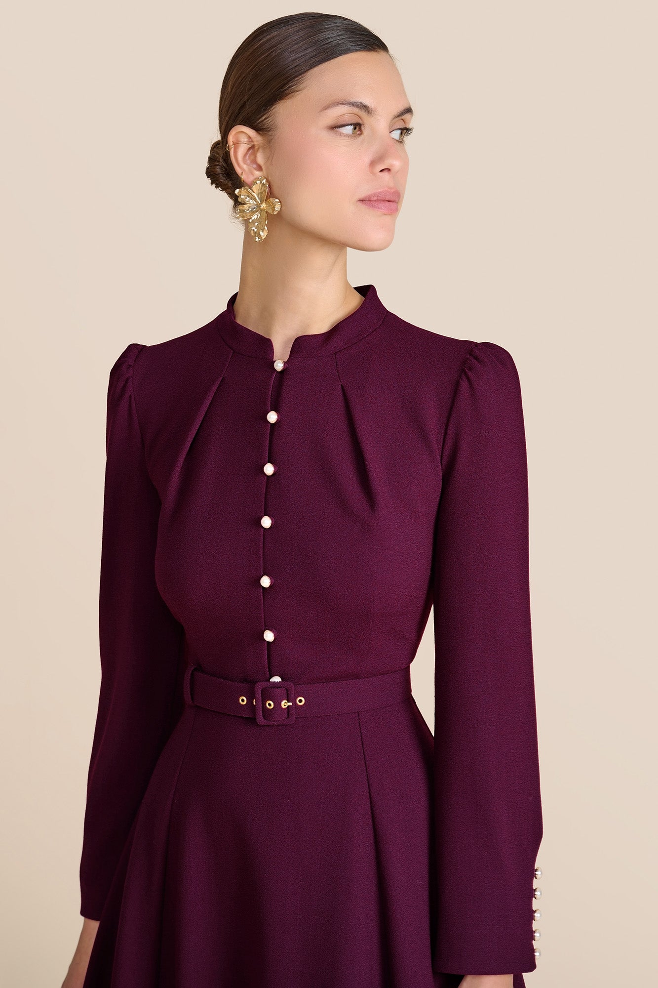 Ahana Plum Long Sleeve Dress