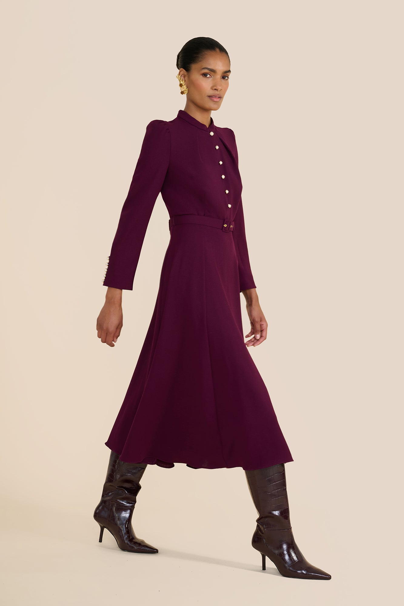 Ahana Plum Long Sleeve Dress