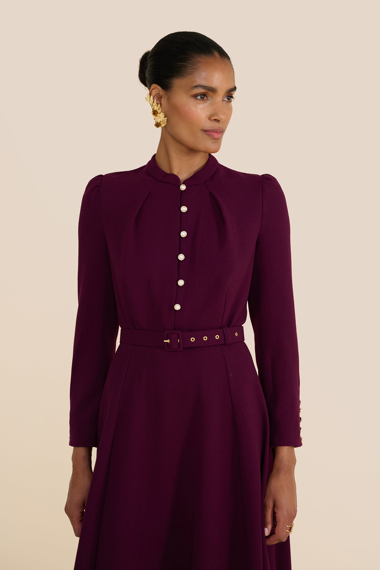 Ahana Plum Long Sleeve Dress