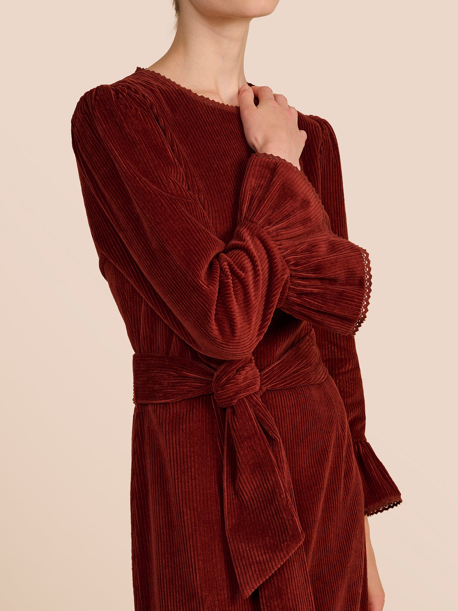 Aster Paprika Dress