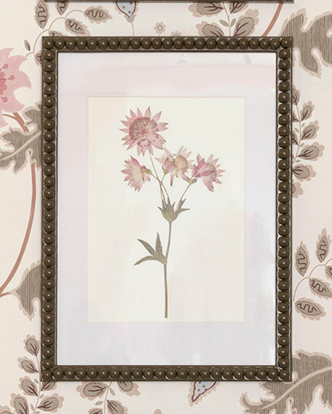 Beulah x Wilder & Wren Pressed Astrantia Print in Bobbin Frame