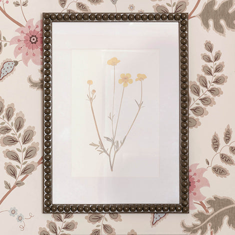 Beulah x Wilder & Wren Pressed Buttercups Print in Bobbin Frame
