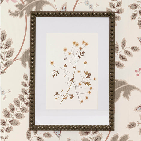 Beulah x Wilder & Wren Pressed Feverfew Daisies Print in Bobbin Frame