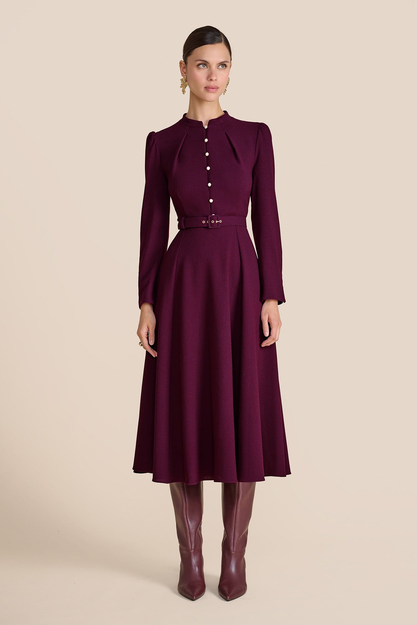 Ahana Plum Long Sleeve Dress