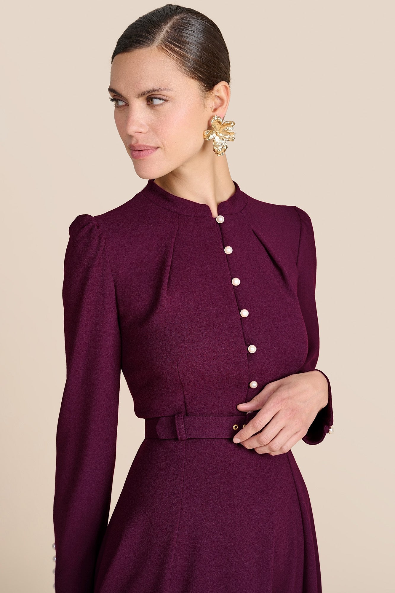 Ahana Plum Long Sleeve Dress