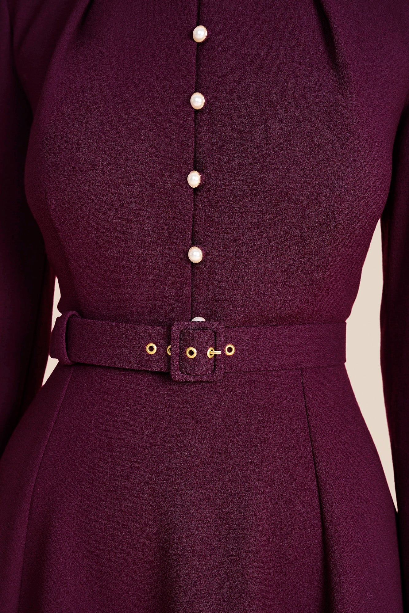 Ahana Plum Long Sleeve Dress