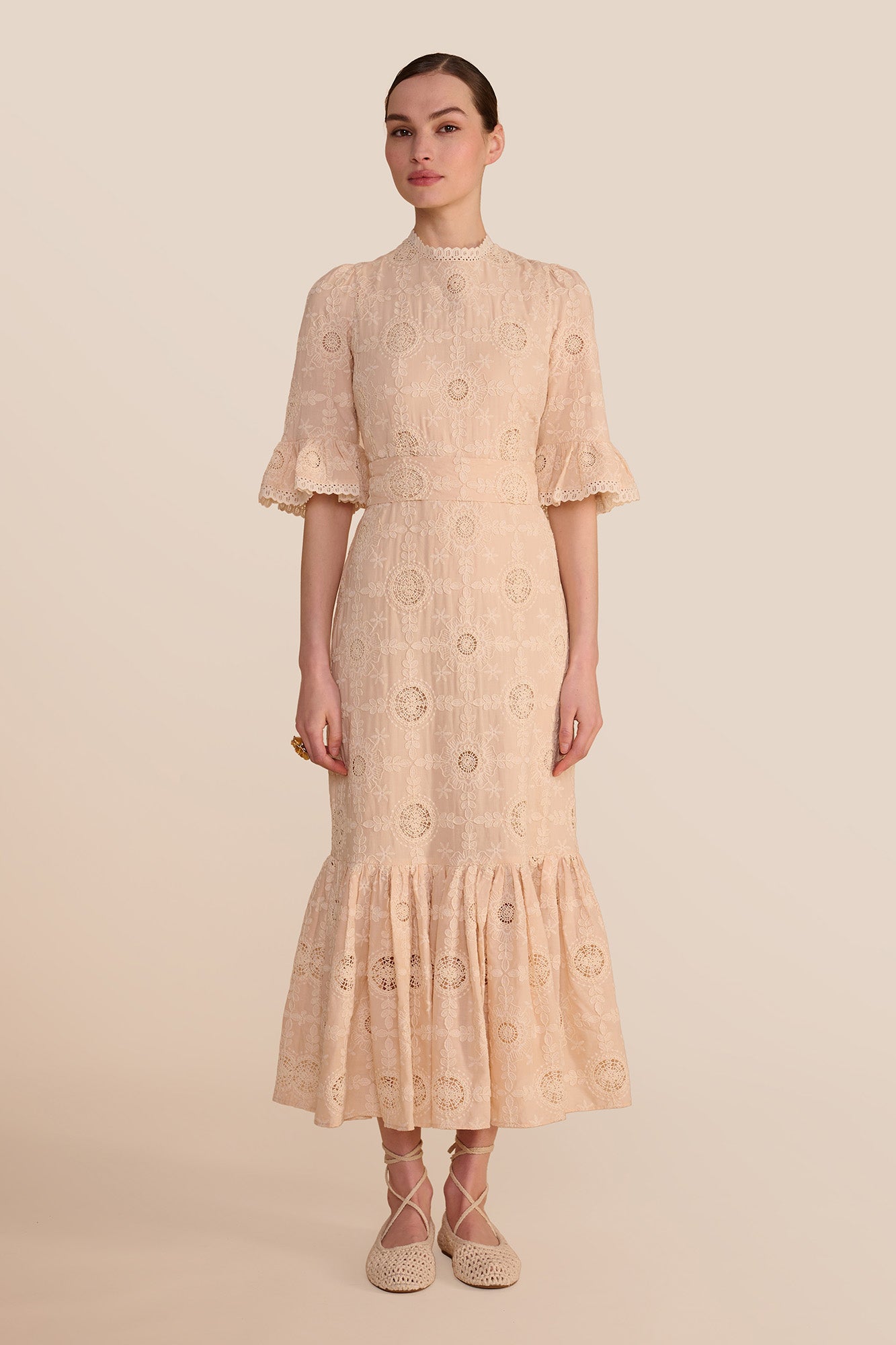 Aster Mocha Embroidered Dress