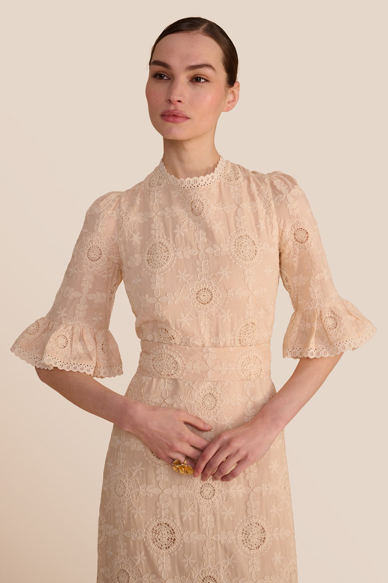 Aster Mocha Embroidered Dress