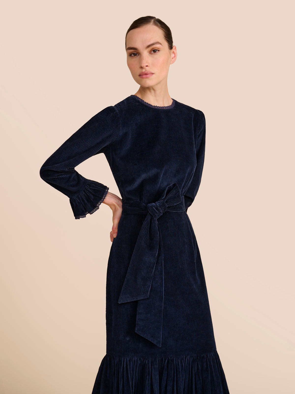 Aster Navy Dress