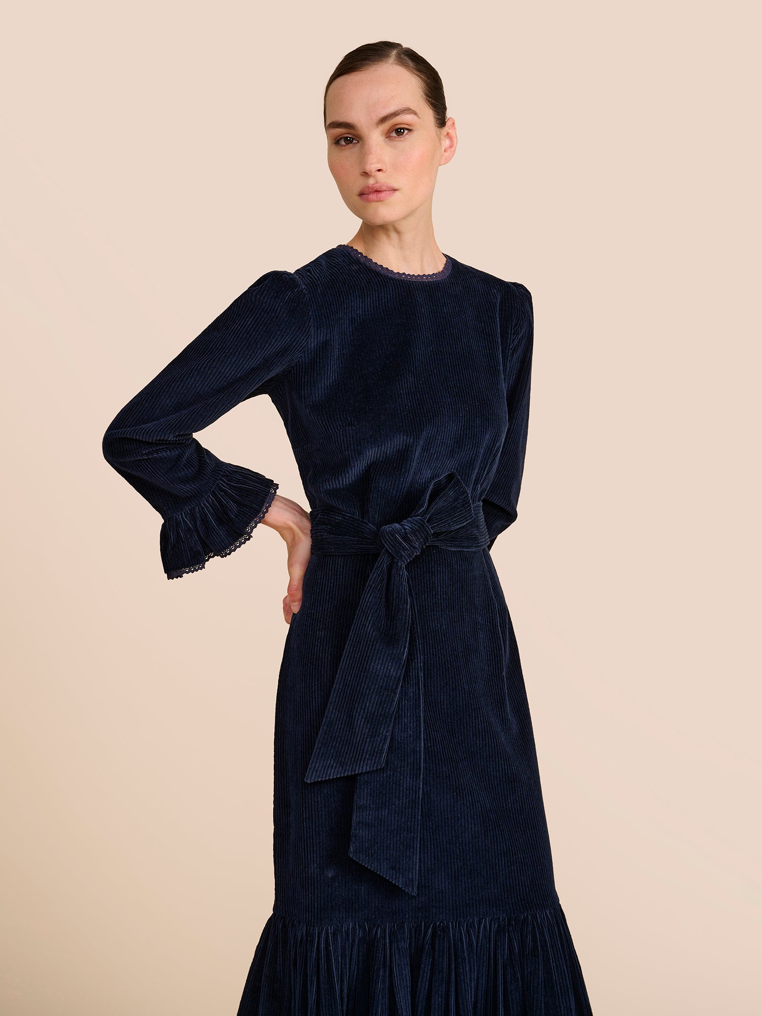 Aster Navy Dress