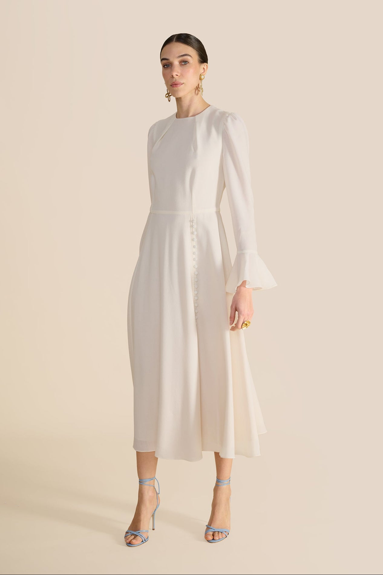Long Elegant Dress with Sleeves
