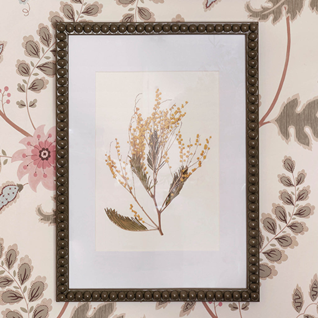Beulah x Wilder & Wren Pressed Mimosa Print in Bobbin Frame