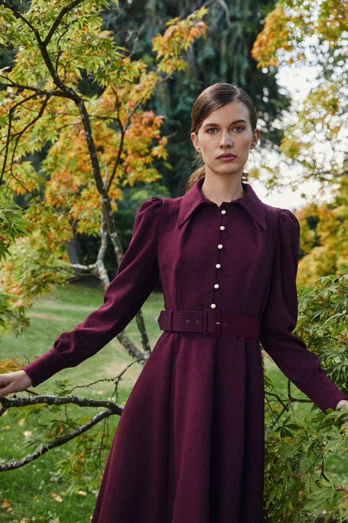 Ahana Burgundy Long Sleeve Dress