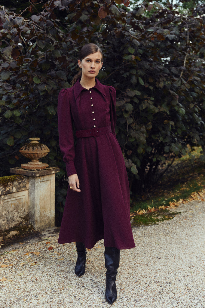 Ahana Burgundy Long Sleeve Dress