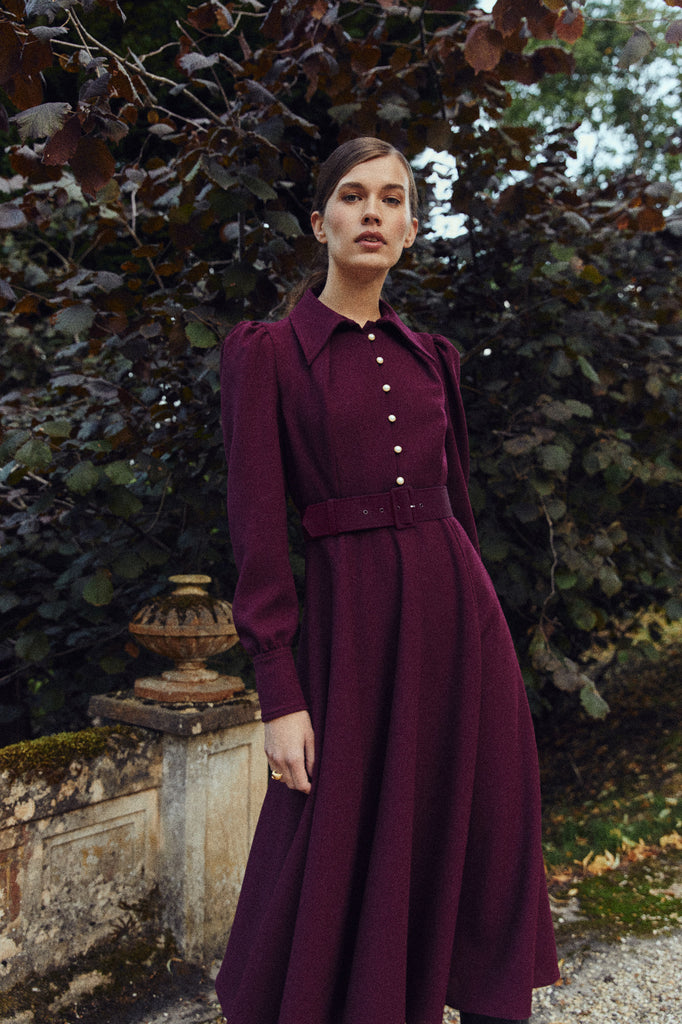 Ahana Burgundy Long Sleeve Dress