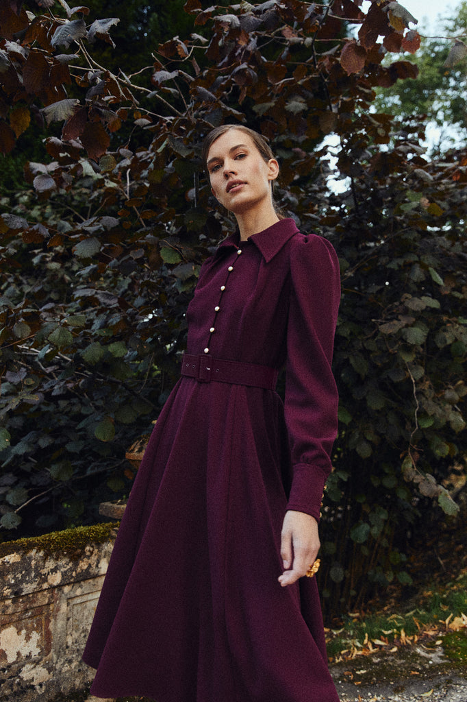 Ahana Burgundy Long Sleeve Dress